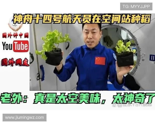 史鸿飞的传奇人生与事业成就探索之旅